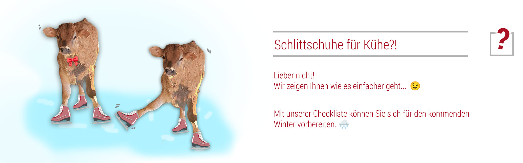 nw_Winter_Schlittschuehe_fuer_Kuehe_ohne_Webseite
