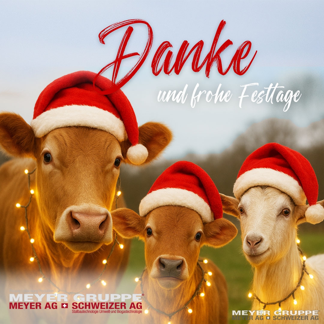 58_Jahresende_Weihnachten